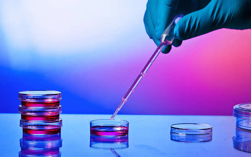 Microbiologie