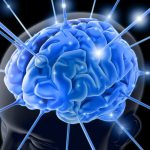 Biopsychologie et neurosciences