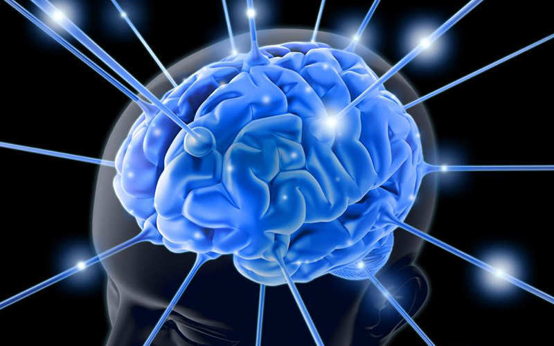Biopsychologie et neurosciences